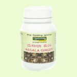 Masala Ginger 25gm